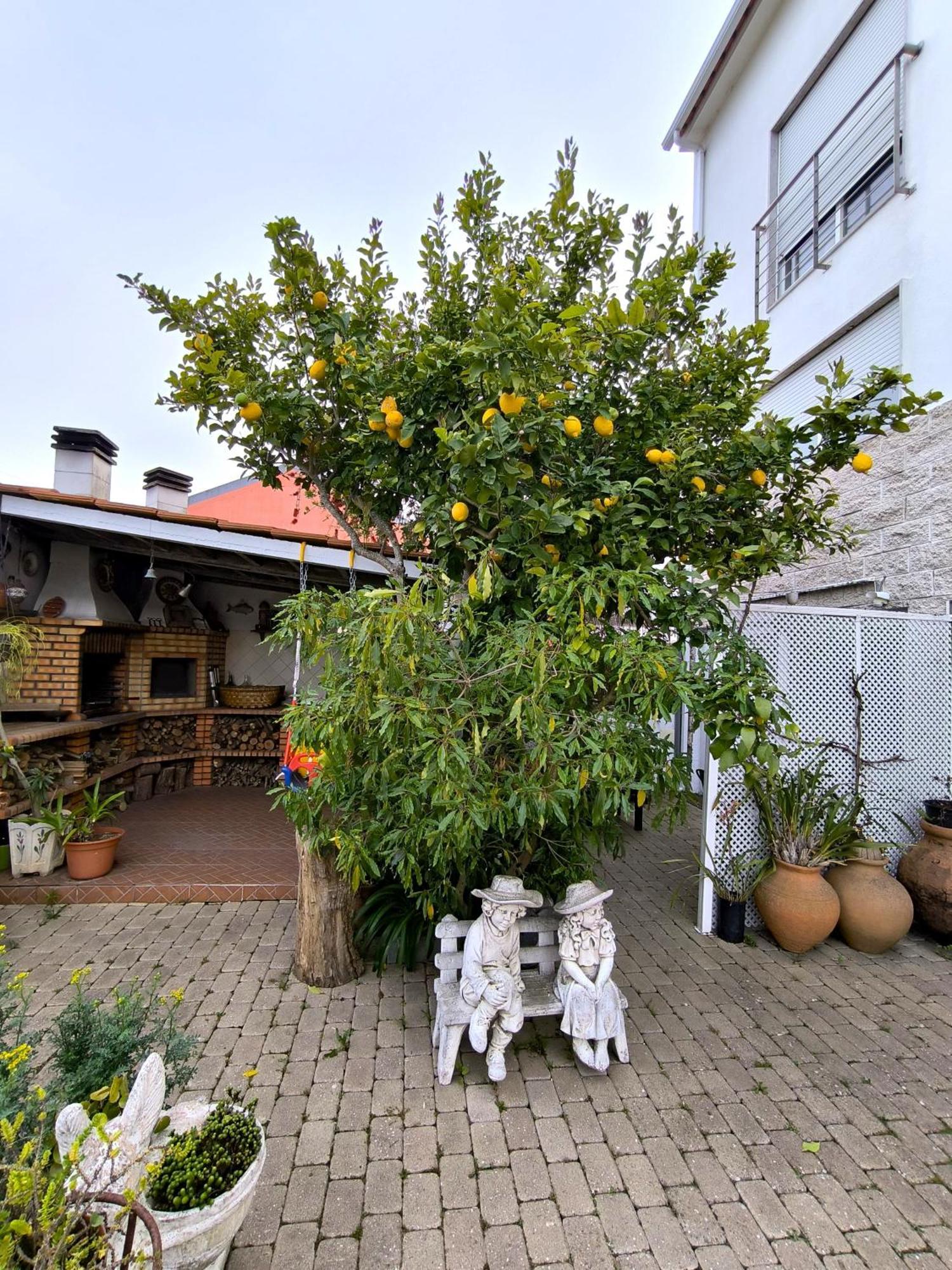 The Sun House Apartment Santa Iria de Azoia Luaran gambar